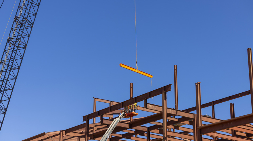 Turner Reaches Milestone on Clemson University College of Veterinary Medicine 
