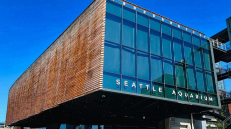 Reducing Tropical Hardwood Use in Construction