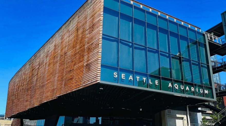 Reducing Tropical Hardwood Use in Construction