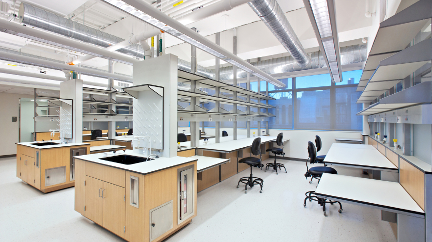 New York University, Center For Comparative & Functional Genomics