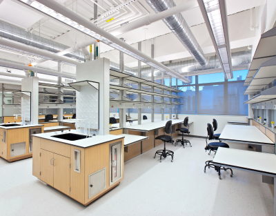 New York University, Center For Comparative & Functional Genomics