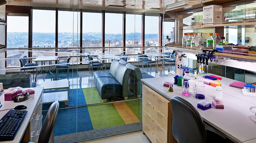 University of Pittsburgh, BST 12th Floor Lab Renovation