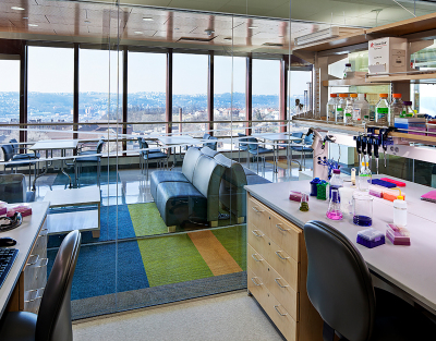 University of Pittsburgh, BST 12th Floor Lab Renovation