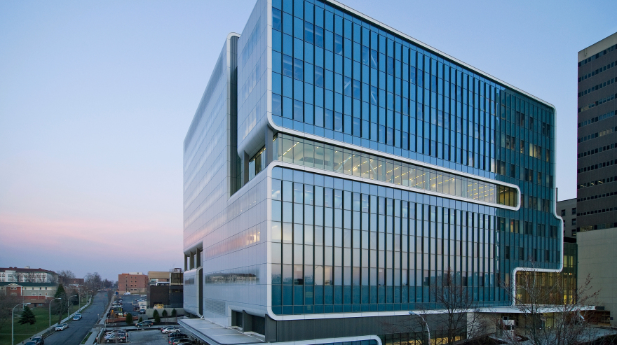 Gates Vascular Institute