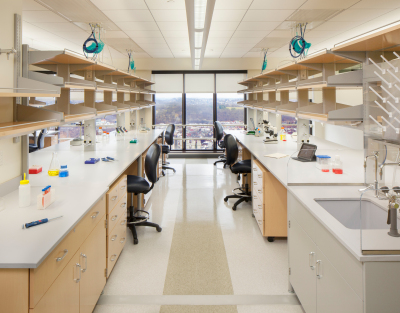 University of Pittsburgh, BST 17th Floor Lab Renovation