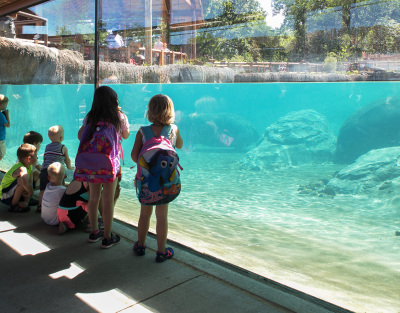 Dallas Zoo Simmons Hippo Outpost
