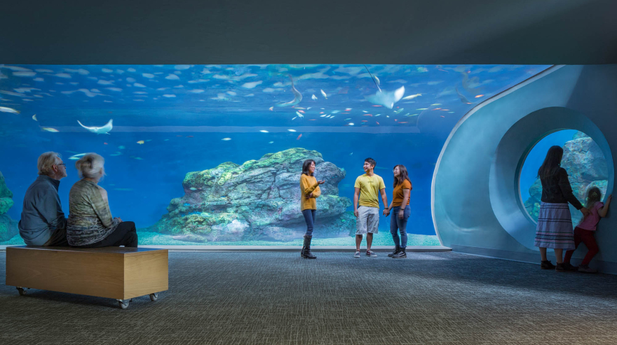 Pacific Seas Aquarium