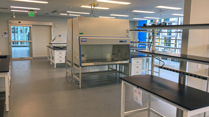 Bluebird bio, 60 Binney Street Fitout