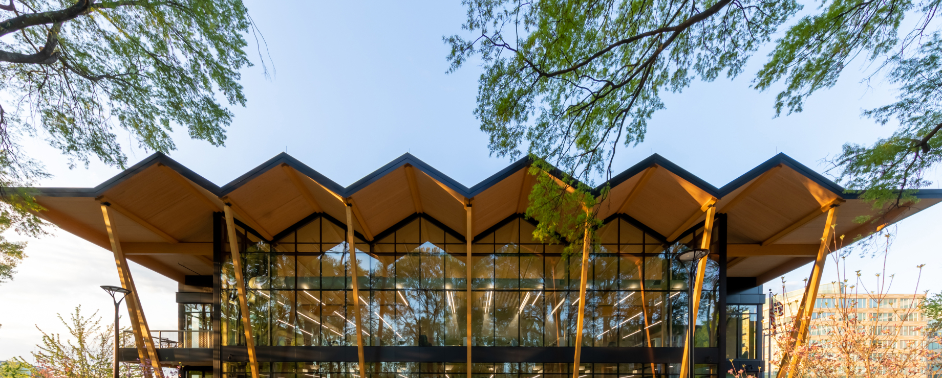 Mass Timber Build: Southwest DC Neighborhood Library