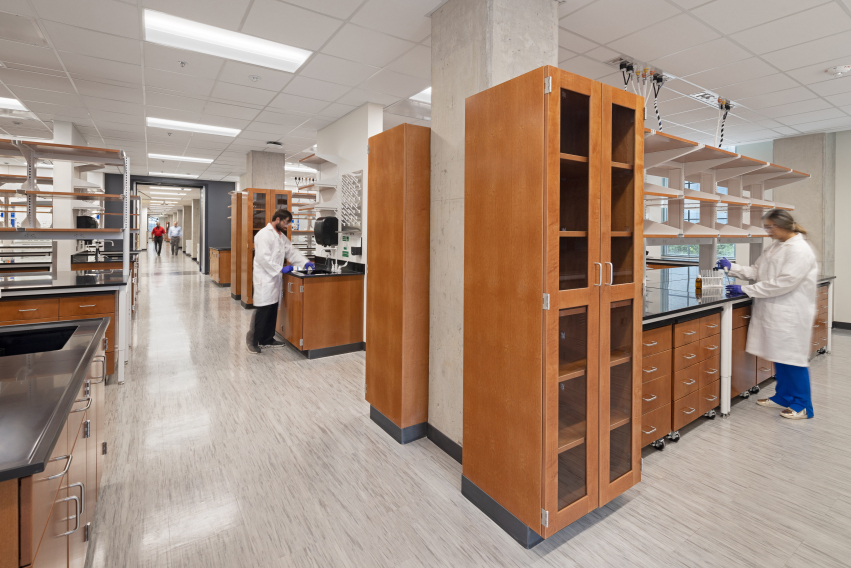 ©  Jonathan Hillyer