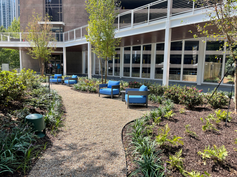 © Michael Stavaridis