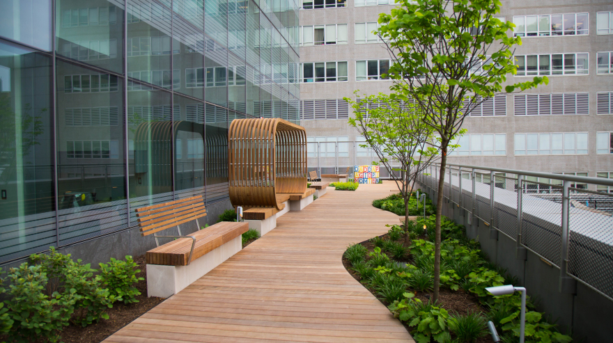 NYU Langone Health, The Helen L. & Martin S. Kimmel Pavilion