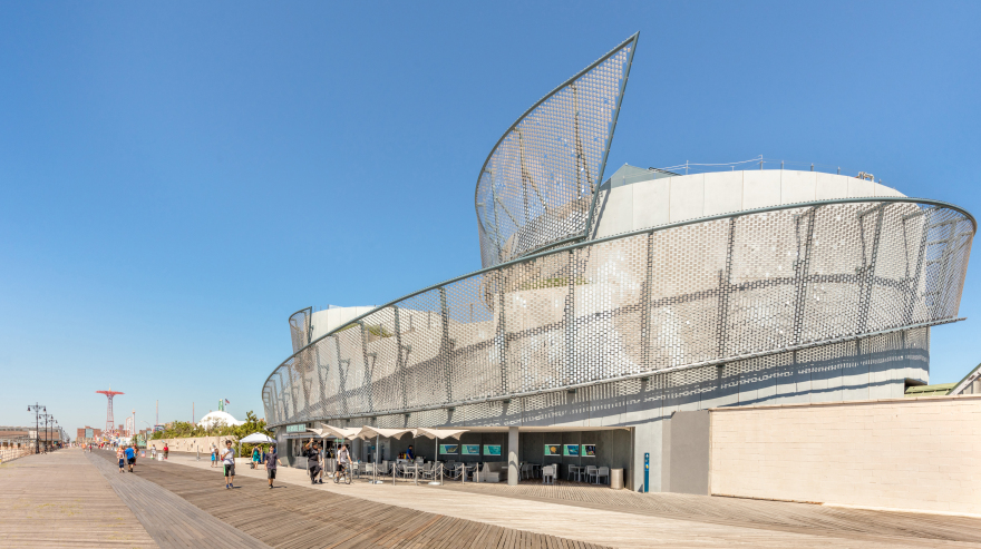 The Wildlife Conservation Society, Ocean Wonders: Shark!