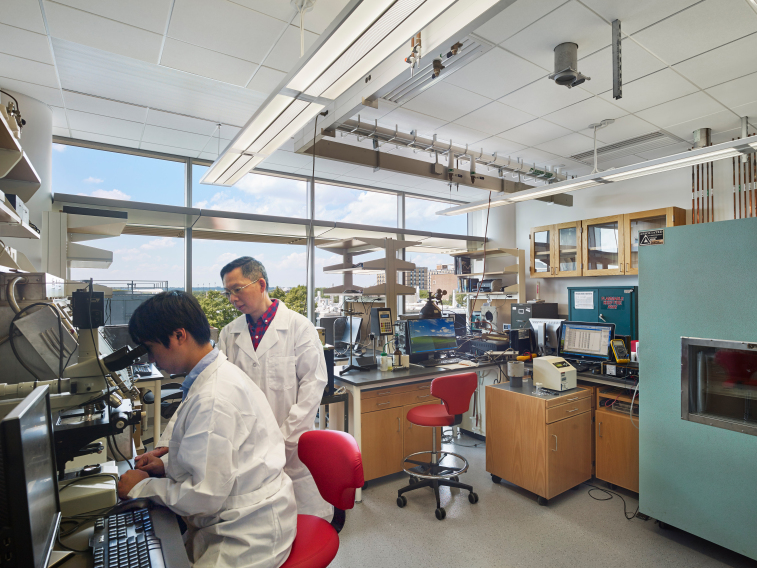 © Halkin/Mason Architectural Ph