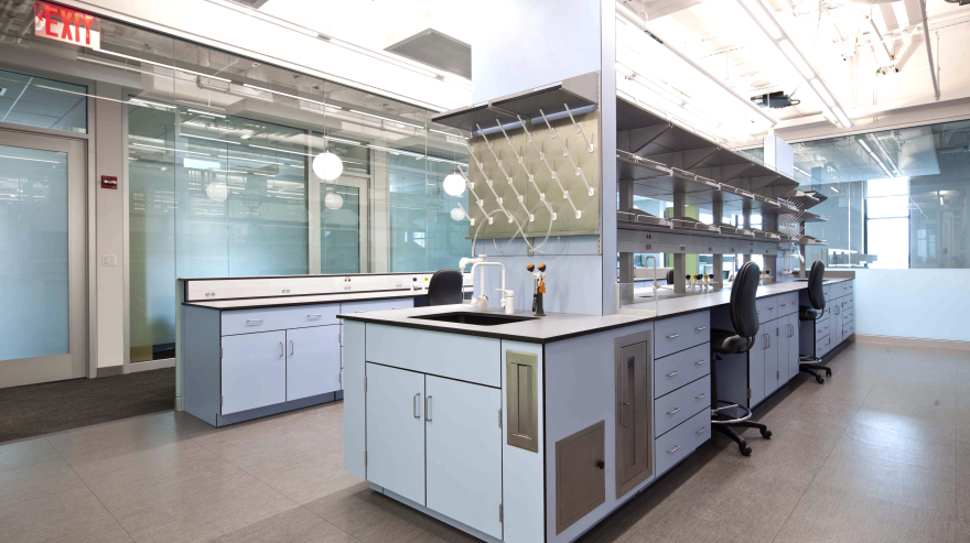 New York University, Molecular Laboratory