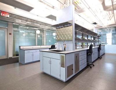 New York University, Molecular Laboratory