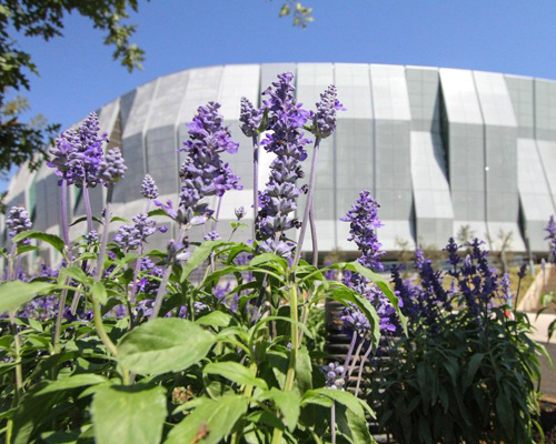 Golden 1 named a Clean Air Champion and achieves LEED Platinum certification