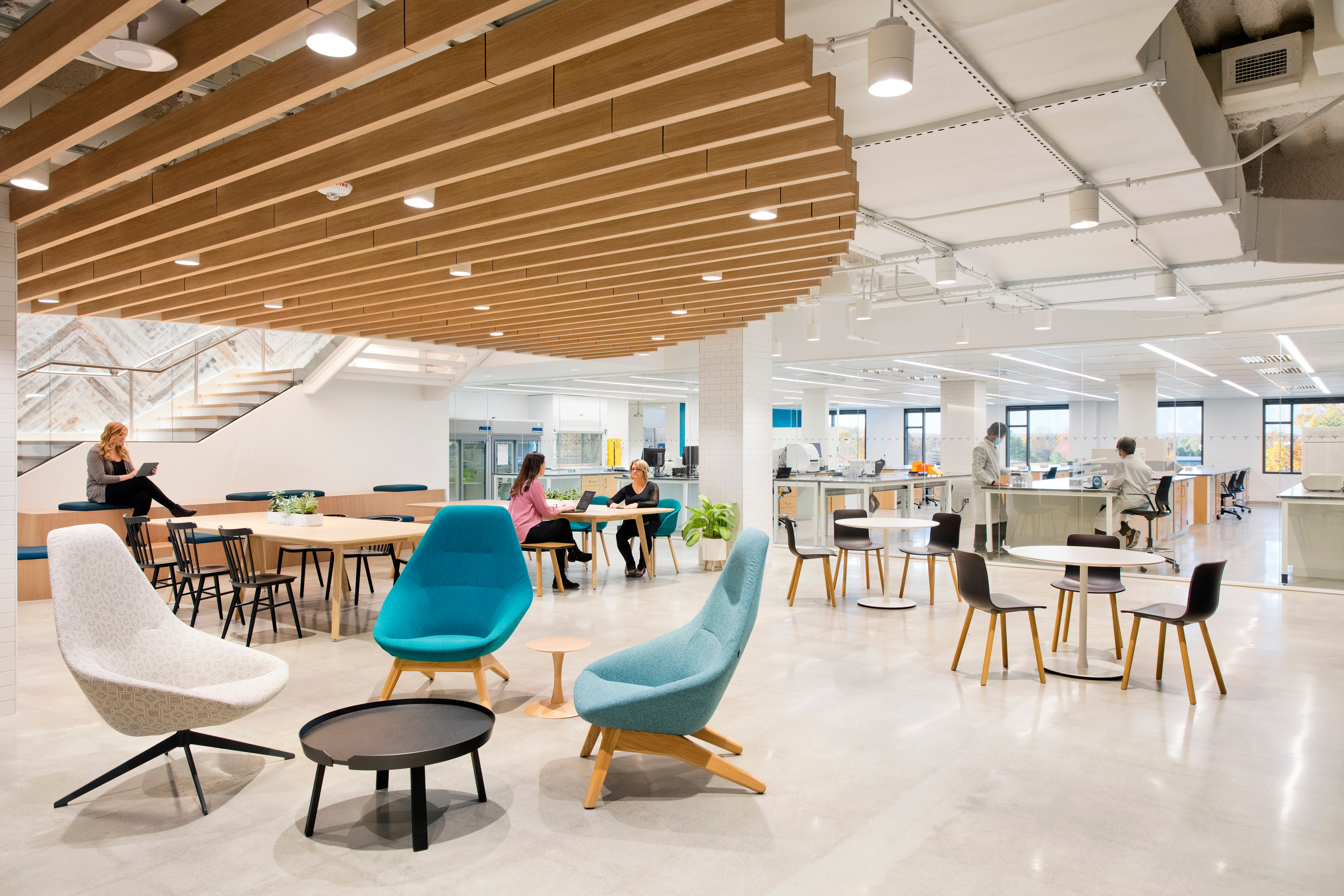 Azure Rae Turner Genmab Office & Laboratory Renovation | Projects | Turner Construction ...
